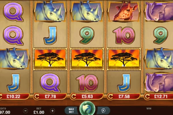 African Quest