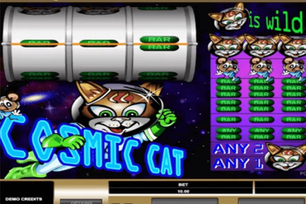 Cosmic Cat
